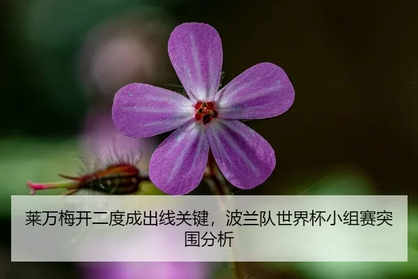 莱万梅开二度成出线关键，波兰队世界杯小组赛突围分析