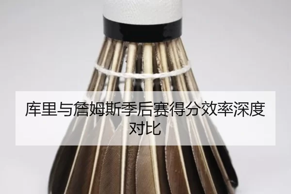 ku-li-yu-zhan-mu-si-ji-hou-sai-de-fen-xiao-lv-shen-du-dui-bi-2-300.jpg